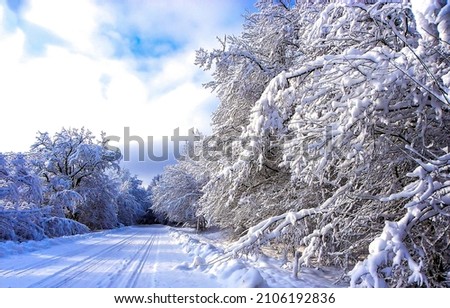 The road in the winter snow forest. Snow road in winter forest. Snowy winter forest road landscape