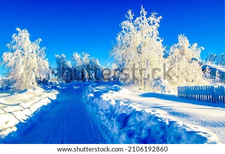Rural snowy road in winter day. Winter snow road in village. Rural winter snow road. Winter snow scene