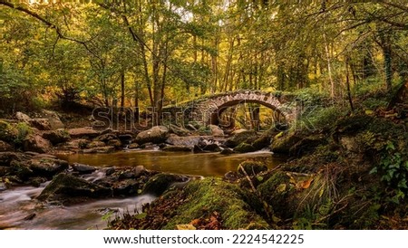 Similar – Image, Stock Photo Old bridge over river against town in mountainous area