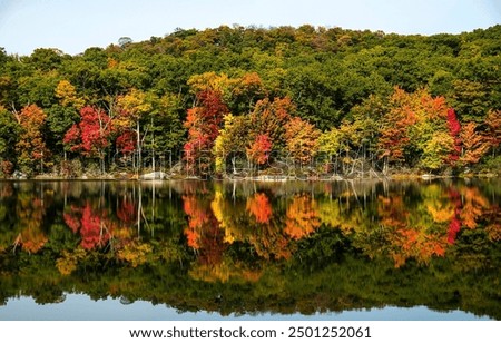 Similar – Image, Stock Photo Autumn at the lake leaves