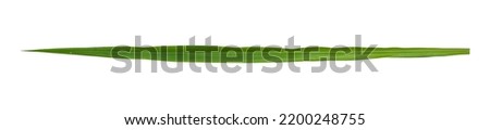 Similar – Image, Stock Photo blades of grass Grass