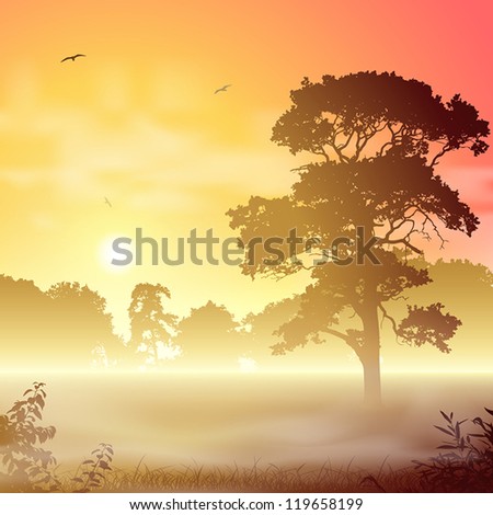 A Misty Forest Landscape with Trees and Sunset, Sunrise