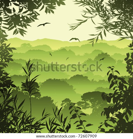A Green Forest Landscape with Trees and Leaves