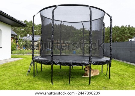 Similar – Image, Stock Photo Trampoline on a lawn in the sunset with two kids
