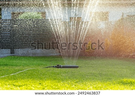 Image, Stock Photo Oscillation Garden