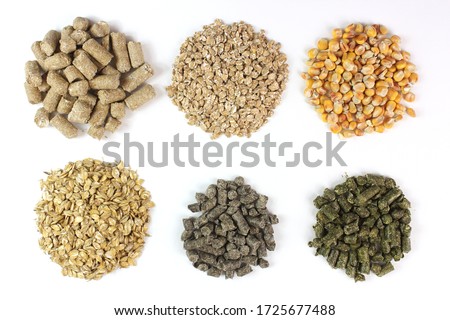 Compound feed for animals, livestock, in circles isolated on white background Сток-фото © 