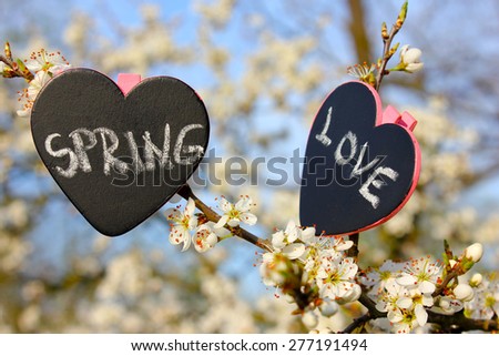 Chalkboard heart spring love, flower