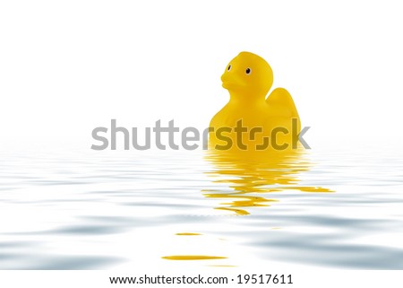 Yellow rubber duck in water, with reflection, landscape canvas size