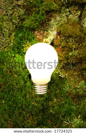 Green energy light bulb