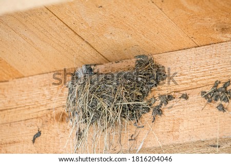 Similar – Image, Stock Photo Roofs without birds roofs