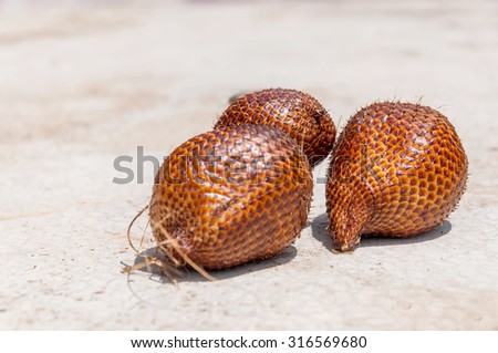 Salak fruit or snake fruits on hard background