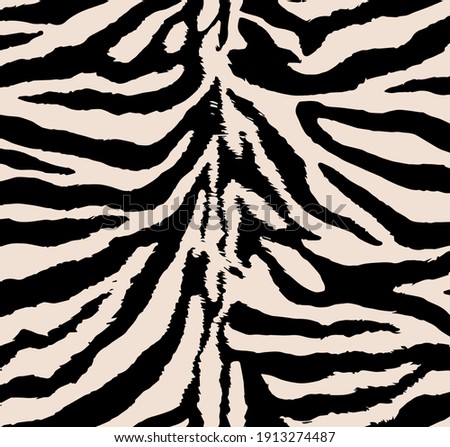 Zebra texture, zebra skin, zebra fur, African animal pattern