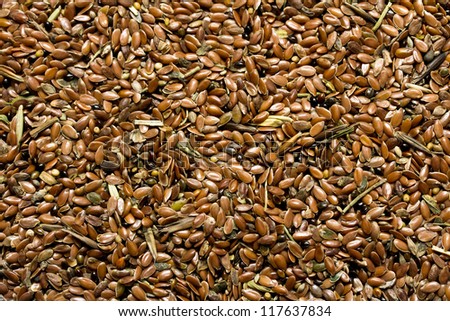 flax seeds for further processing