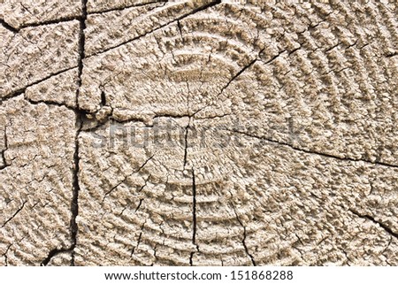 Wooden texture. It is possible to use as a background.