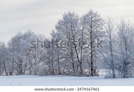 Image, Stock Photo It is snowing, view to the neighbouring house