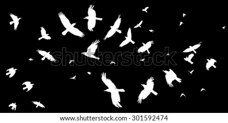 white silhouette of a flock of birds on a black background