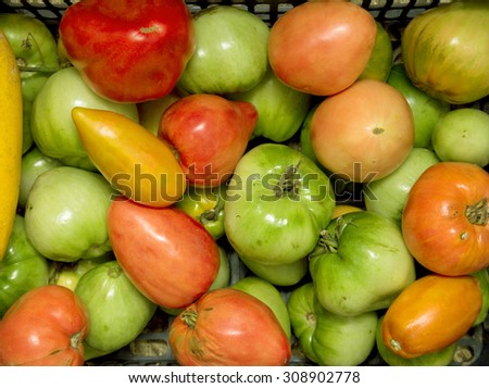 red tomato, green tomato, red and green tomato, tomato background.