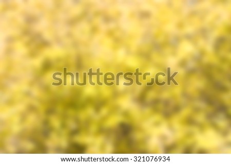 autumn blurred yellow background