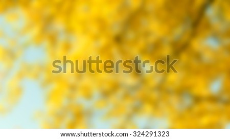 blurred yellow background, autumn forest landscape