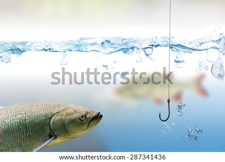 Fishing hook under water and fishes