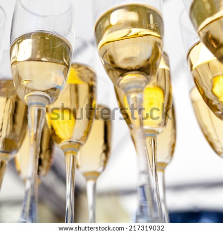champagne glasses filled with champagne are lined up ready to be served