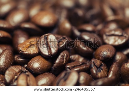 Closeup of coffee beans with focus on one Coffee beans closeup background
