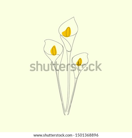 Simple Calla Lily Drawing | Free download on ClipArtMag