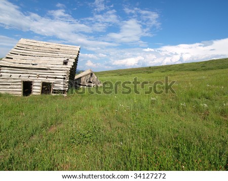 Abandoned wood cabin in green field.