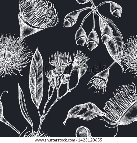 Seamless pattern with hand drawn chalk eucalyptus flower