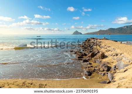 Similar – Image, Stock Photo Late in the afternoon the blue of the flax blossom glows against the light.