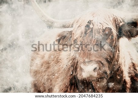 Highland cattle. Scottish Highland cow. Bull with horns. Scottish cattle in winter snowfall. Aquarelle, watercolor illustration.                               