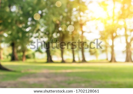 Similar – Image, Stock Photo A blurry forest in black and white