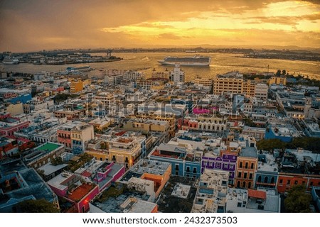 Similar – Image, Stock Photo San Juan, San Juan. Secadero de uvas, para la creación de pasas de uvas.     SECADERO; PRODUCTOS FRUTIHORTICOLAS; FRUTA SECA; PASAS DE UVA