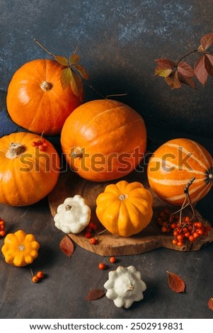 Similar – Image, Stock Photo Still life with a beautiful bouquet of flowers