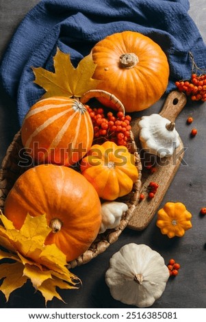 Similar – Image, Stock Photo Autumn colors