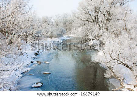 river  lined with frost covered trees on winter day