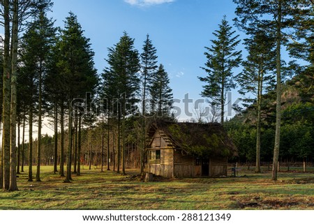 A house in forest