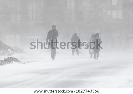 Similar – Image, Stock Photo Woman in heavy snowfall in the park