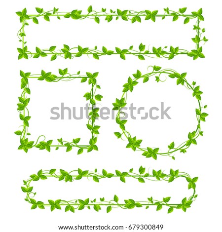 Leaf border design on white background