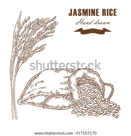 stock-vector-thai-jasmine-rice 