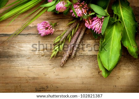 Herbal Background. Herbs over Wood. Treatment Plant. Herbal Medicine