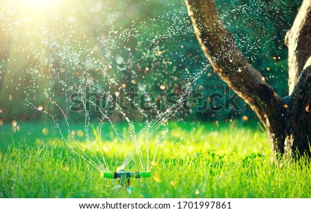 Garden, Grass Watering. Smart garden activated with full automatic sprinkler irrigation system working in a green park, watering lawn, flowers and trees. sprinkler head watering. Gardening concept.