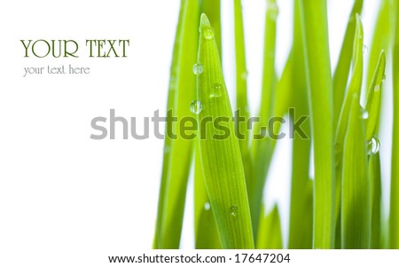 Similar – Image, Stock Photo Grass blades with dew drops bokehlicious