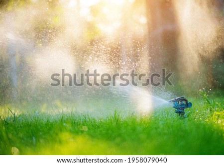 Sprinkler head watering green grass lawn. Gardening concept. Smart garden activated with full automatic sprinkler irrigation system working in a green park. 