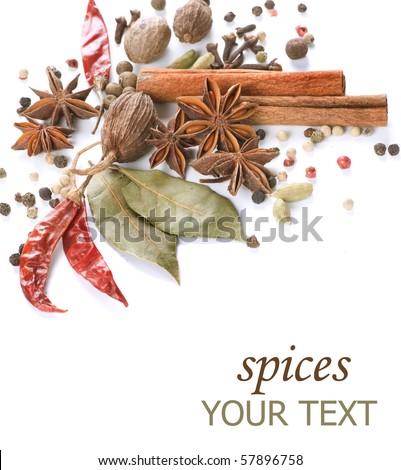 Spices border.Isolated on white