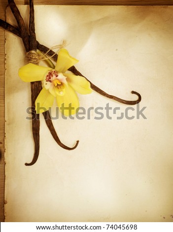 Vanilla flower and pods over vintage paper background