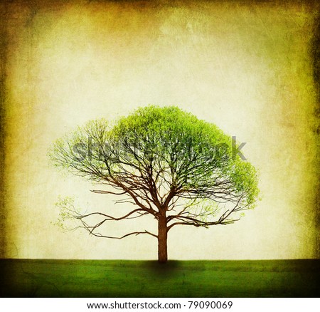 Nature Design.Vintage Tree Background