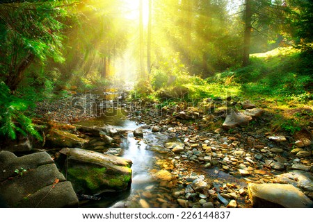 Mountain River with, forest landscape. Tranquil waterfall scenery in the middle of green forest