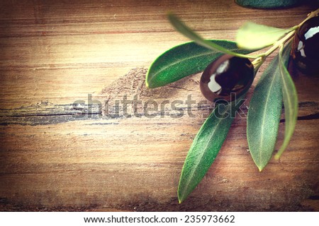 Olive over Wood Background. Olives branch on the wooden table. Vintage toned