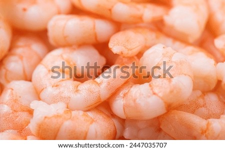 Similar – Image, Stock Photo Close up of raw whole chicken on dark rustic background with ingredients for tasty home cooking. Preparation and chicken marinating with lemon, honey and  mustard. Home cuisine. Top view